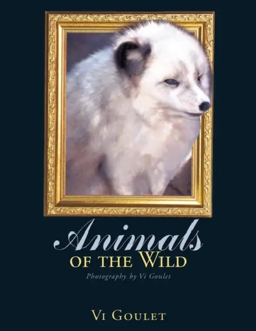 Animals of the Wild: Photography by Vi Goulet by VI Goulet