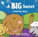 A BIG Secret: A Nativity Story by Sally Wallace