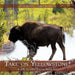 Take on Yellowstone!: A Photophonics (R) Reader by Linda Swirnow