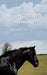 My Internet Horse by Emma White