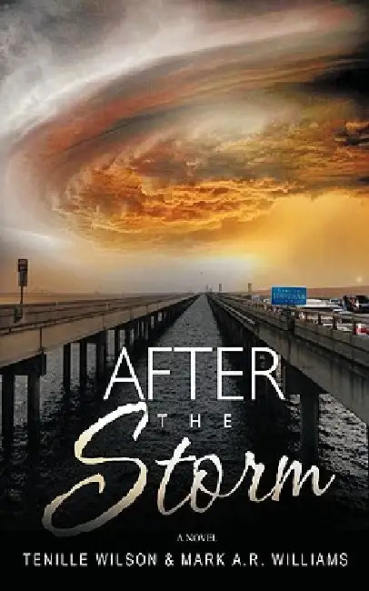 After the Storm by Tenille Wilson, Mark A. R. Williams