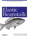 Elastic Beanstalk: Simple Cloud Scaling for Java Developers by Jurg Van Vliet, Flavia Paganelli, Steven Van Wel