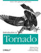 Introduction to Tornado: Modern Web Applications with Python by Michael Dory, Allison Parrish, Brendan Berg
