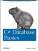 C# Database Basics: Moving from Visual Basic and VBA to C# by Michael Schmalz