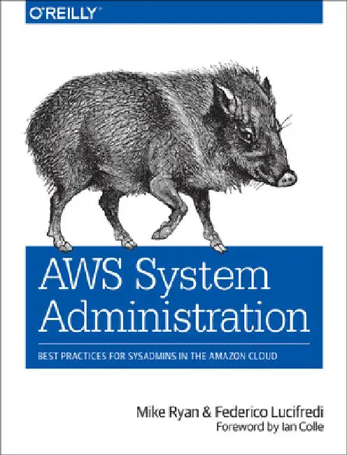 AWS System Administration: Best Practices for Sysadmins in the Amazon Cloud by Ryan, Mike