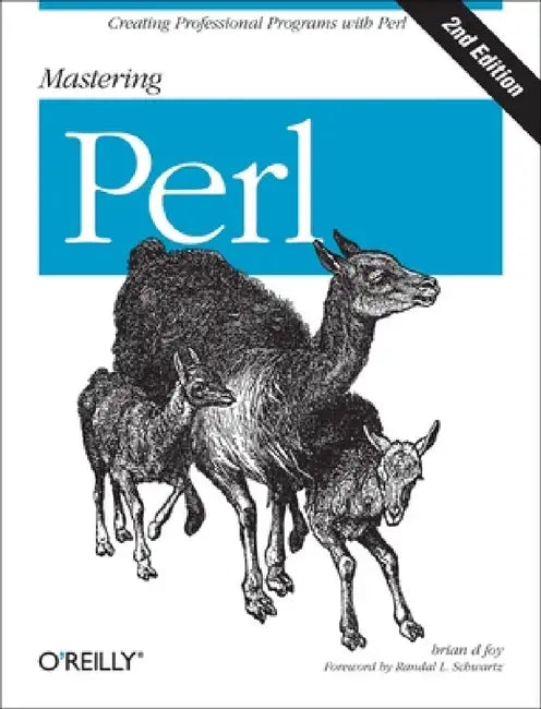 Mastering Perl: Creating Professional Programs with Perl by Brian D. Foy