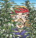 The Weed Whisperer: A Doonesbury Book Volume 36 by G. B. Trudeau