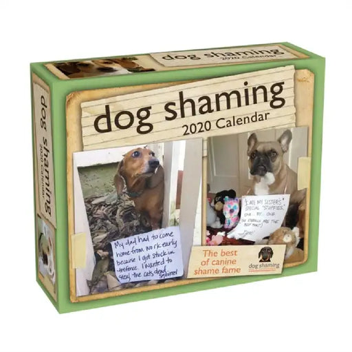 Dog Shaming 2020 DayToDay Calendar by Lemire Pascale