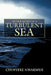 In the Midst of a Turbulent Sea by Chinyere Nwakwue