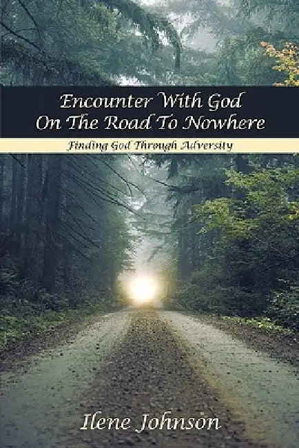 Encounter with God on the Road to Nowhere: Finding God Through Adversity by Ilene Johnson