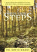 Spiritual Steps: Spiritual Principles and Biblical Doctrine of the Twelve Steps of Alcoholics Anonymous by Kevin Means