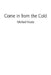 Come in from the Cold by Michael Krutz