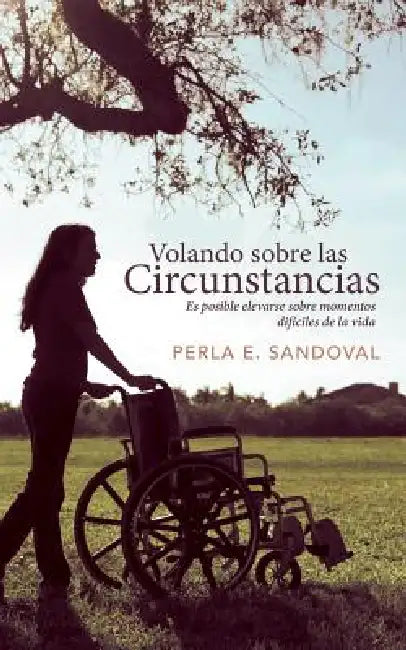 Volando Sobre Las Circunstancias: Es Posible Elevarse Sobre Momentos Dificiles de La Vida by Perla E. Sandoval