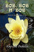Bob, Bob N' Bob by Kay Lee Padilla