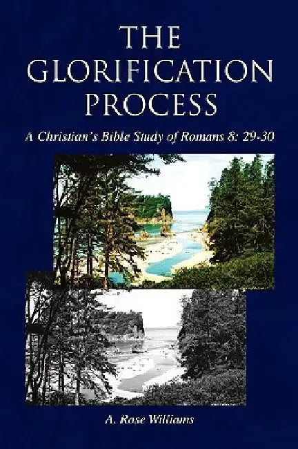 The Glorification Process by A. Rose Williams