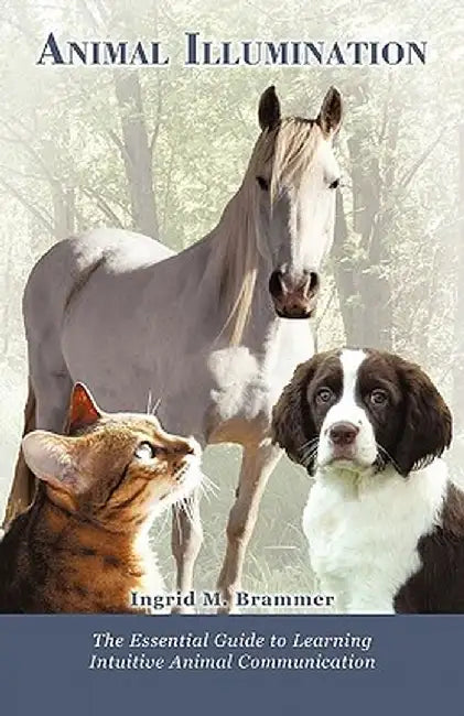 Animal Illumination: The Essential Guide to Learning Intuitive Animal Communication by Ingrid M. Brammer