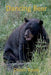 Dancing Bear by Dennis Royer