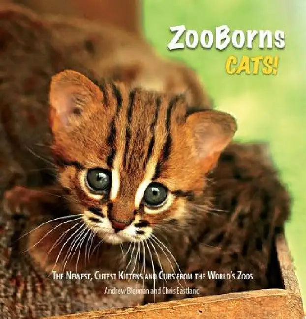 ZooBorns Cats!: The Newest, Cutest Kittens and Cubs from the World's Zoos by Andrew Bleiman