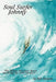 Soul Surfer Johnny: The almost true story of becoming one with the wave by Bill Missett