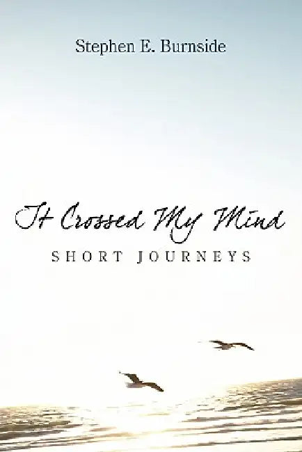 It Crossed My Mind: Short Journeys by Stephen E. Burnside