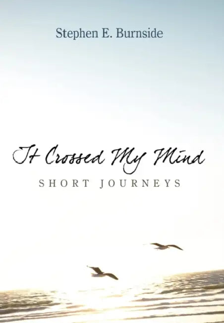 It Crossed My Mind: Short Journeys by Stephen E. Burnside