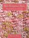 Knit Knitavian Style: Allow your knitting adventures to begin. by Margaret Nock