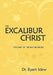 The Excalibur of Christ: The Diary of the Master Disciple by Eyam Idew