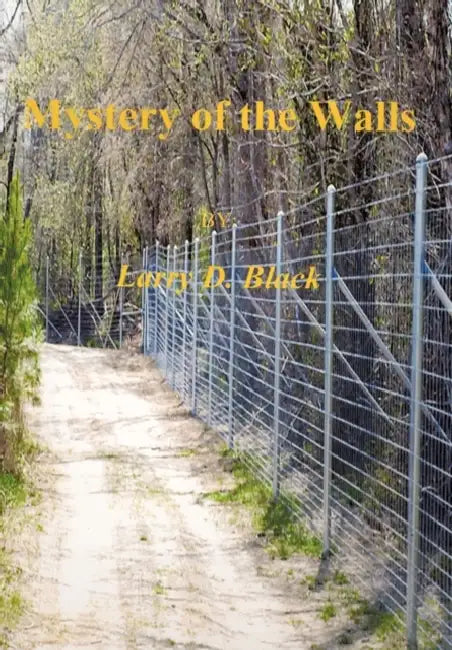 Mystery of the Walls by Larry Black