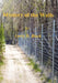Mystery of the Walls by Larry Black