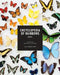 Encyclopedia of Rainbows Notes: 20 Different Notecards & Envelopes by Julie Seabrook Ream