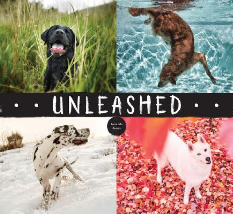 Unleashed by Amanda Jones