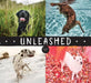 Unleashed by Amanda Jones