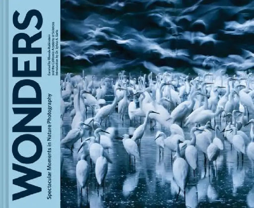 Wonders: Spectacular Moments in Nature Photography (Nature Books, Books for Adventurous People, Books about the Outdoors) by Rhonda Rubinstein