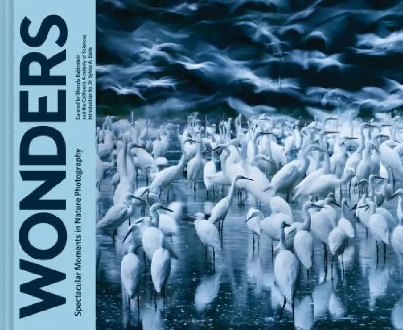 Wonders: Spectacular Moments in Nature Photography (Nature Books, Books for Adventurous People, Books about the Outdoors) by Rhonda Rubinstein