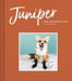 Juniper: The Happiest Fox: (Books about Animals, Fox Gifts, Animal Picture Books, Gift Ideas for Friends) by Jessika Coker