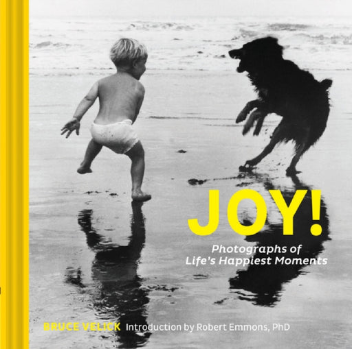 Joy: Photographs of Life's Happiest Moments by Bruce Velick