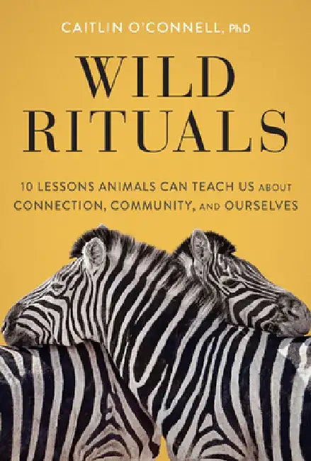 Wild Rituals: 10 Lessons Animals Can Teach Us about Connection, Community, and Ourselves by Caitlin O'Connell