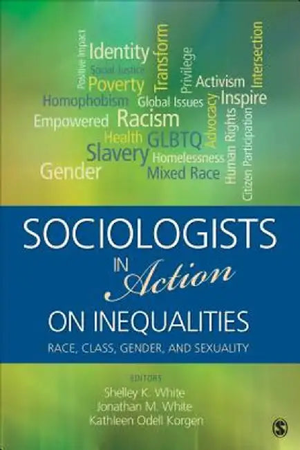 Sociologists in Action on Inequalities: Race, Class, Gender, and Sexuality by Michelle K. White