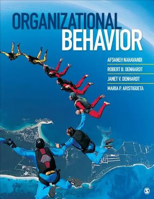 Organizational Behavior by Afsaneh