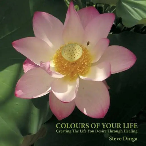 Colours of Your Life: Creating the Life You Desire Through Healing by Steve Dinga