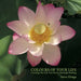 Colours of Your Life: Creating the Life You Desire Through Healing by Steve Dinga