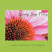 Living Joy-Fully by Shirley Paceley