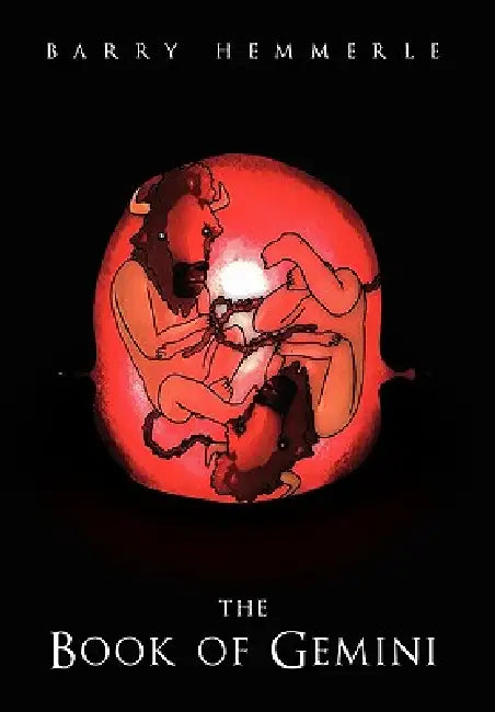 The Book of Gemini by Barry Hemmerle