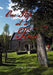 One Step at a Time by George A. Downes