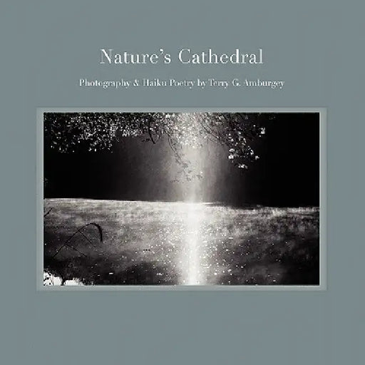 Nature's Cathedral by Terry G. Amburgey