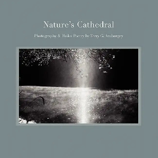 Nature's Cathedral by Terry G. Amburgey