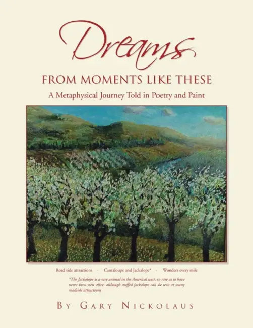 Dreams from Moments Like These: A Metaphysical Journey Told in Poetry and Paint by Gary Nickolaus