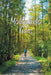 Moldeando Vidas by Priscila Gotay