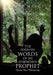 The Foolish Words Of An Unknown Prophet by Denise Haynes