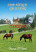 Saratoga Grazing by Tricia O'Hara